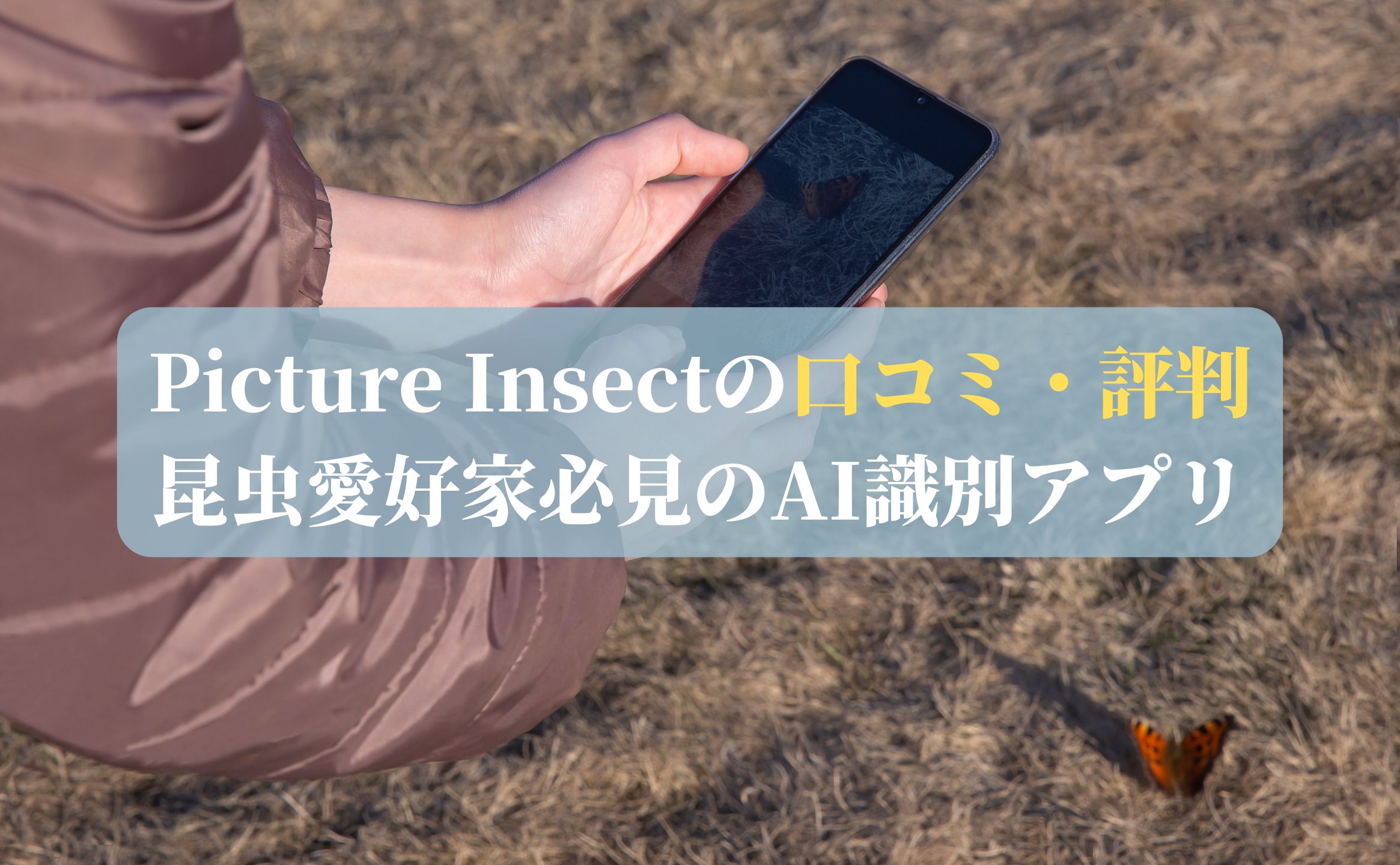 Picture Insectの口コミ・評判：昆虫愛好家必見のAI識別アプリ